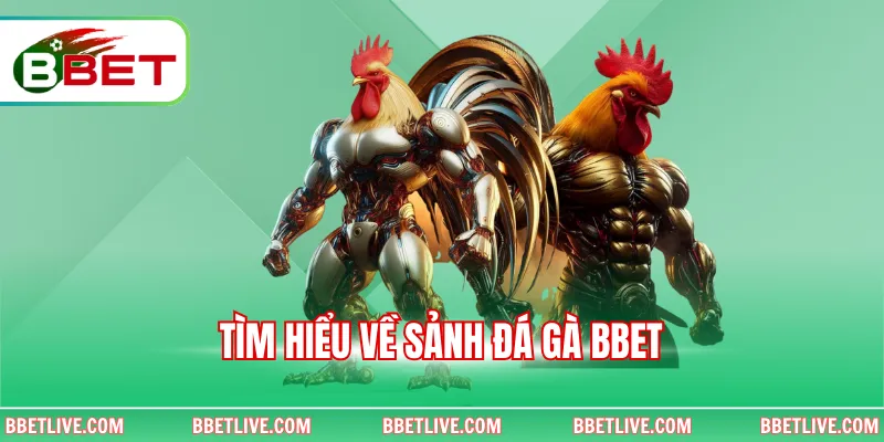 Tìm hiểu về sảnh đá gà BBet